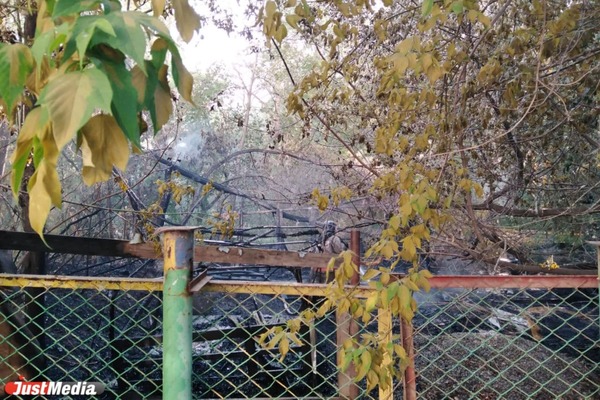 Тушение пожара в Шарташском лесопарке длилось более 5 часов - Фото 1