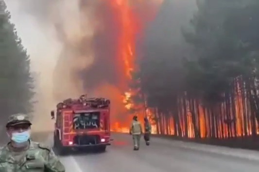 Свердловчане в шоке от количества пожаров - только за минувшие выходные их было более 600 - Фото 1