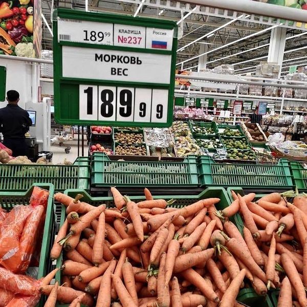 Свердловского губернатора возмутила «ненормальная» морковь в «Ашане» - Фото 1
