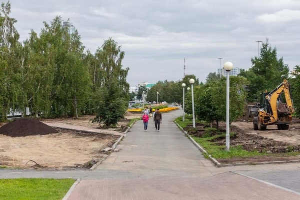 Шалфей, душица, ирисы. В Екатеринбурге скоро появится сад многолетних трав - Фото 1