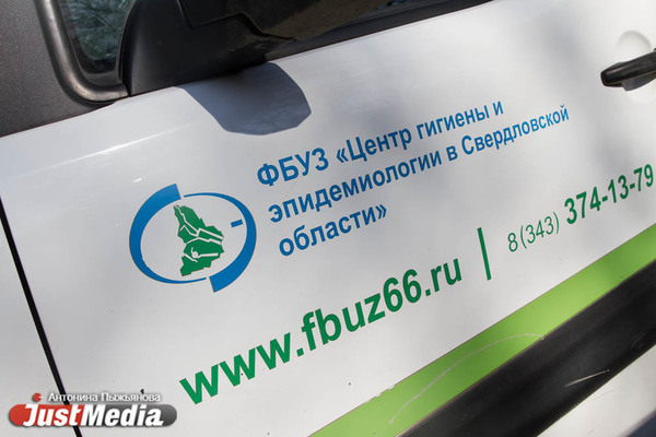 В регионе 489 новых случаев ковида. Количество больных из Екатеринбурга – растет - Фото 1