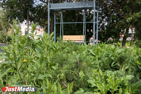 Сотрудники полиции помогли подозрительному гражданину найти сверток в кустах на улице Куйбышева - Фото 1
