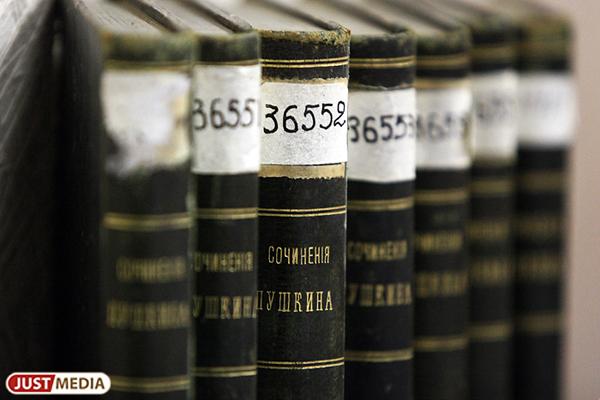 Талицкую библиотеку имени Поклевских-Козелл обновят на федеральные деньги - Фото 1