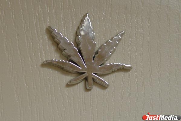 В Екатеринбурге задержали садовода-любителя, выращивающего каннабис в квартире  - Фото 1