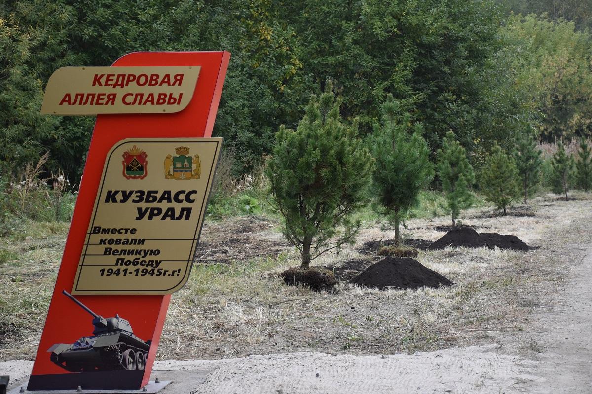 Легендарный 95-летний ветеран посадил кедры и сосны в Екатеринбурге. Мужчина проводит эко-акции по России и миру - Фото 1