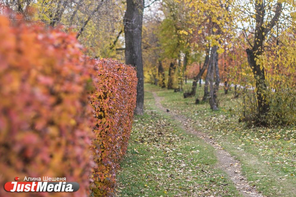 Штормовое предупреждение о сильном ветре в Свердловской области будет действовать до 10 сентября - Фото 1