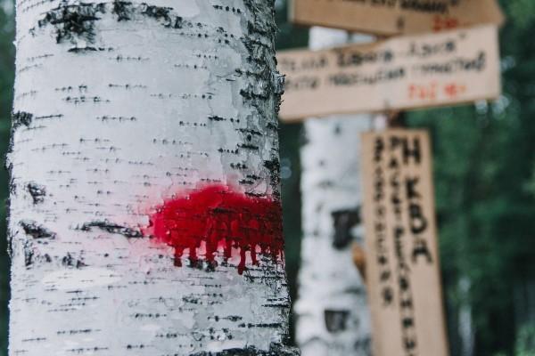 Екатеринбургское общество «Мемориал» обратилось к главе Екатеринбурга - Фото 1