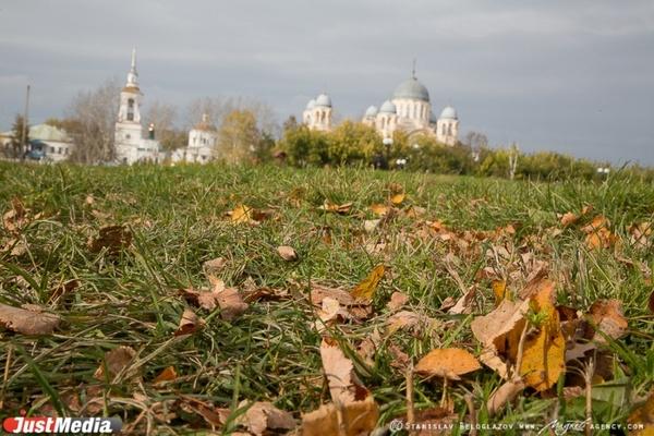 Наступившая неделя в Свердловской области будет прохладной - Фото 1