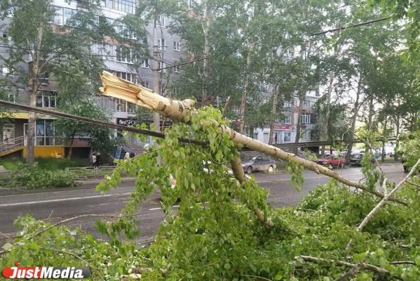 Во второй половине дня на территории Свердловской области будет сильный ветер - Фото 1