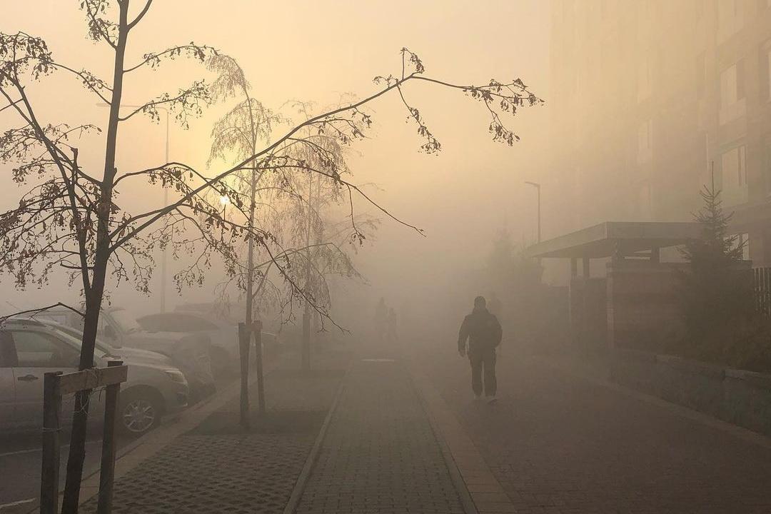 Мэр Алексей Орлов отправил в задыхающийся Солнечный своего первого зама - Фото 1