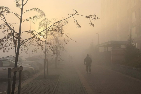 Мэр Алексей Орлов отправил в задыхающийся Солнечный своего первого зама