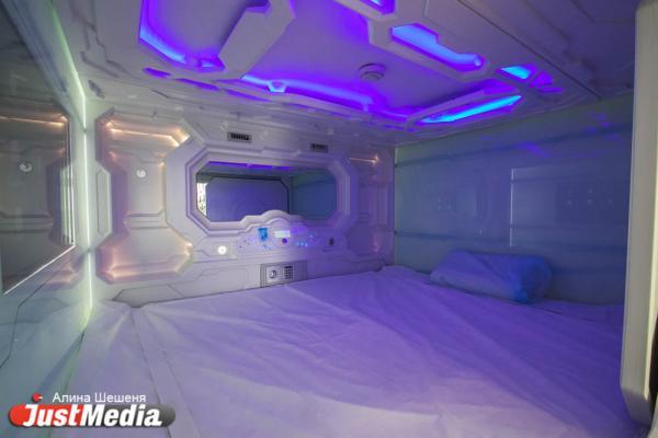 Постельные клещи: чем опасны, как избавиться - Фото 1