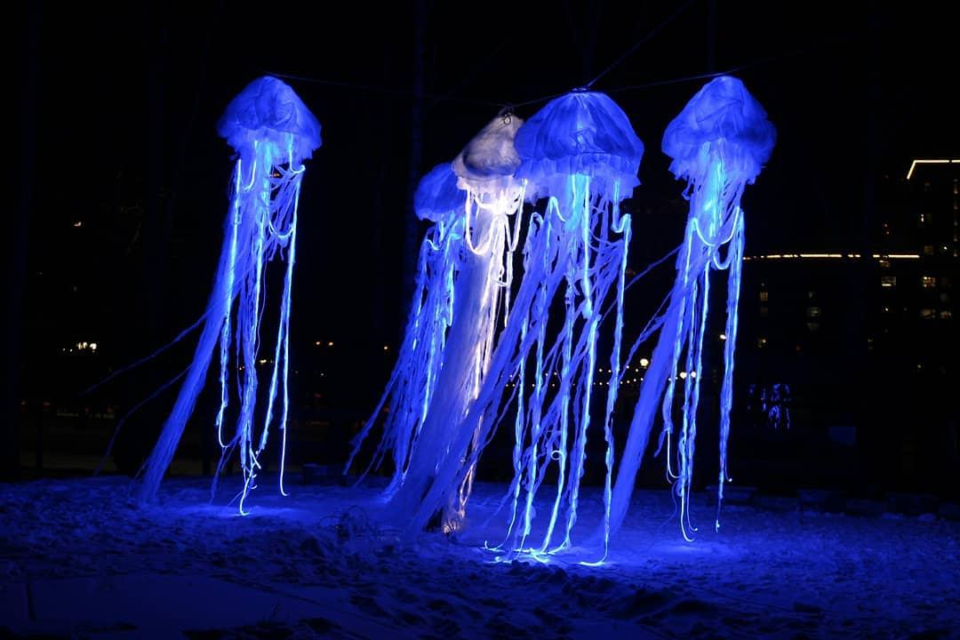 Фестиваль «НЕ ТЕМНО» высветит лучшие изменения парка Маяковского - Фото 1