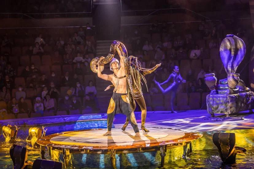 В Свердловской области отличников учебы наградили билетами в цирк - Фото 1