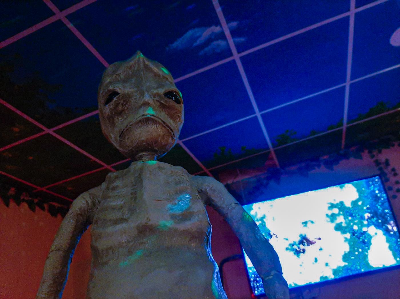 В Екатеринбурге прошел фестиваль космического гуманоида Алёшеньки - Фото 1