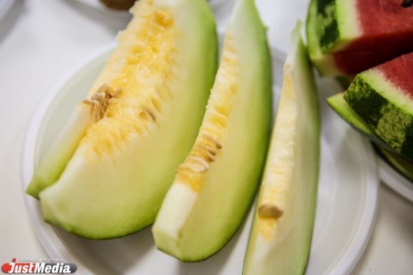 Диетолог Анна Белоусова рассказала, чем нельзя запивать дыню - Фото 1