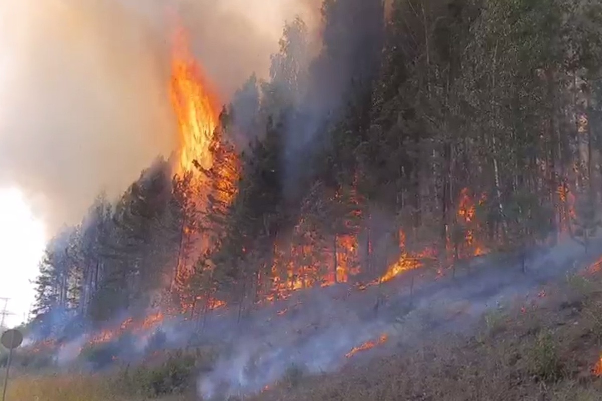 Сгорели на дороге