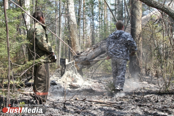 В Свердловской области действует 41 лесной пожар - Фото 1