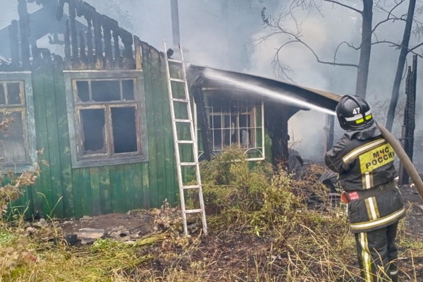 В Первоуральске в коллективном саду сгорели пять домов. Огонь перекинулся на лес - Фото 1