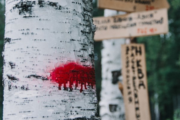 Екатеринбургское общество «Мемориал» обратилось к главе Екатеринбурга - Фото 1