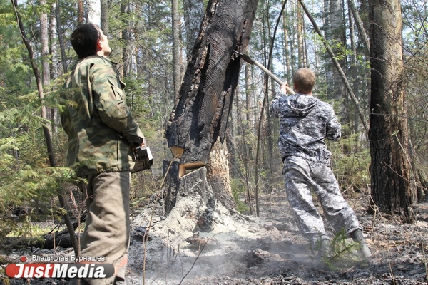В Свердловской области потушили все лесные пожары - Фото 1