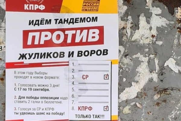 В Екатеринбурге появились листовки, вводящие в заблуждение сторонников оппозиции - Фото 1