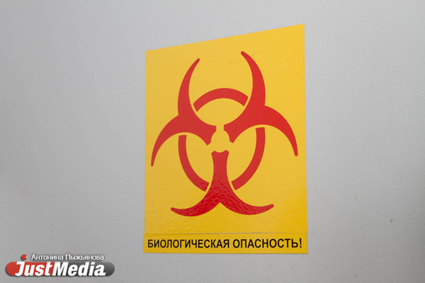 В Свердловской области 40 смертей от коронавируса за сутки - Фото 1