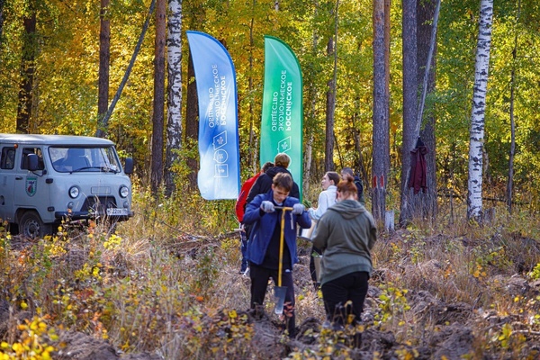 В Белоярском городском округе активисты свердловского РЭО засадили 5 гектаров саженцами деревьев - Фото 1
