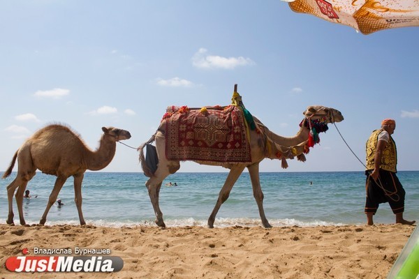 Курорты Египта могут подешеветь уже к середине октября - Фото 1