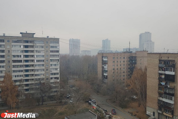 Екатеринбург затянуло дымом от горящего торфяника - Фото 1