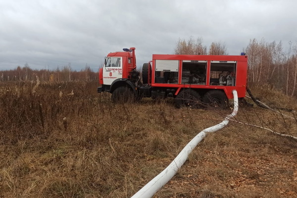 МЧС локализовало пожар на торфянике на юге Екатеринбурга - Фото 1