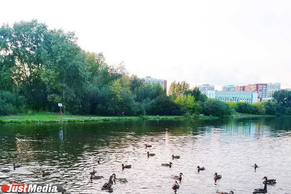 В Екатеринбурге продолжат обновление набережной реки Исети от парка Маяковского до Уктуса - Фото 1