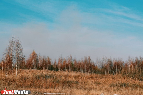 Воздух в Екатеринбурге стал чище, но в нем выявлено превышение вредных веществ - Фото 1