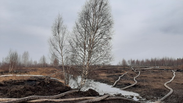 На горящие торфяники вокруг Екатеринбурга вылили 160 миллионов литров воды. Работы завершены  - Фото 1
