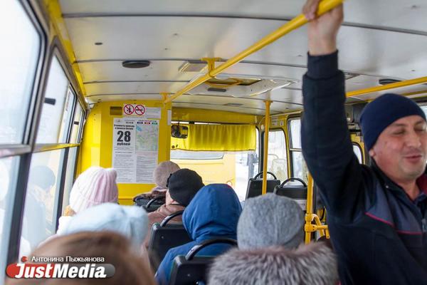 Представители уральского бизнеса попросили ввести проверку QR-кодов в общественном транспорте - Фото 1