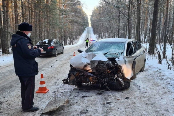 В Свердловской области водитель, пытаясь уйти от полицейской погони, врезался в дерево и погиб - Фото 1
