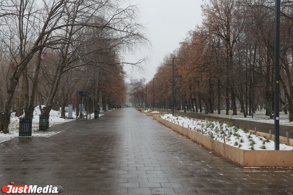 Мэрия Екатеринбурга благоустроит один парк из топ-5, выбранных горожанами - Фото 1