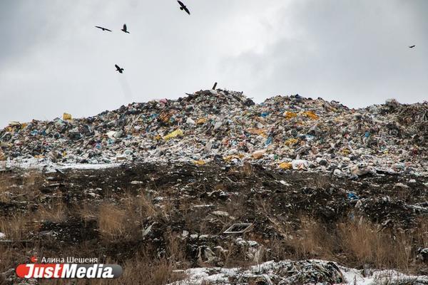 Место нового мусороперерабатывающего полигона в Екатеринбурге станет известно в феврале - Фото 1