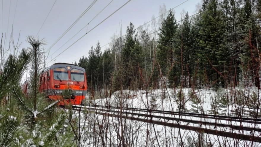 СвЖД в 2021 году увеличила инвестиции в природоохранные проекты на четверть – до 200 млн рублей - Фото 1