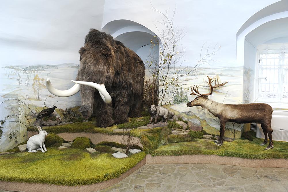 Что значит 'заскамил мамонта'  - Фото 1