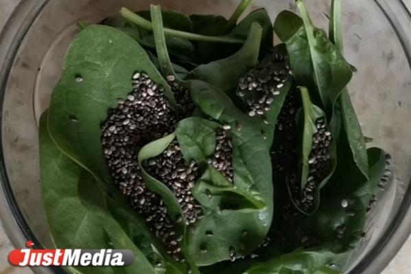 Чем полезны семена чиа - Фото 1