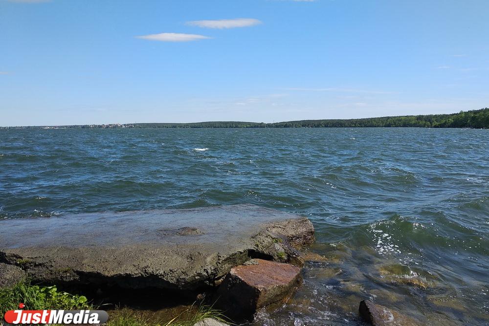 Депутаты гордумы одобрили строительство логопарка «Уральский» на берегу Шарташа - Фото 1