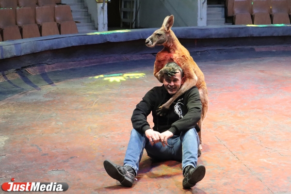 Иван Дефорж, дрессировщик: «Лето, скорее приходи!» В Екатеринбурге +15 градусов