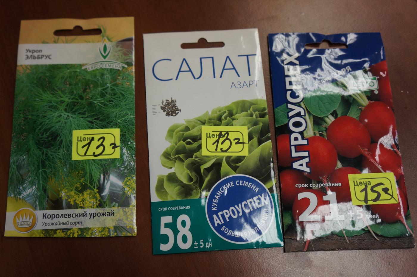 Как посадить укроп дома - Фото 1