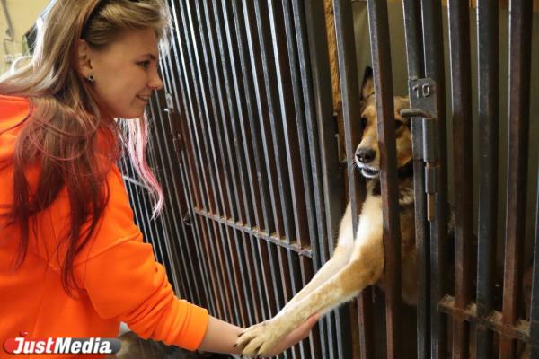 Директор ЕМУП «Спецавтобаза» Наталья Зубова: «Если не будет воспитан человек, никаких ресурсов не хватит для улучшения приютов»