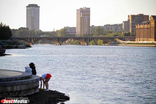 Природоохранная прокуратура выясняет причины массового мора рыбы в Исети - Фото 1