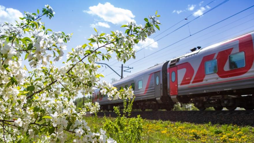 Перевозки пассажиров на СвЖД в июне выросли на 3,4% - Фото 1