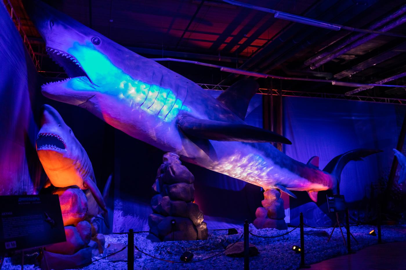 В Екатеринбурге откроется интерактивная выставка «Динозавры морских глубин, аудиогидом по которой будет Николай Дроздов - Фото 1