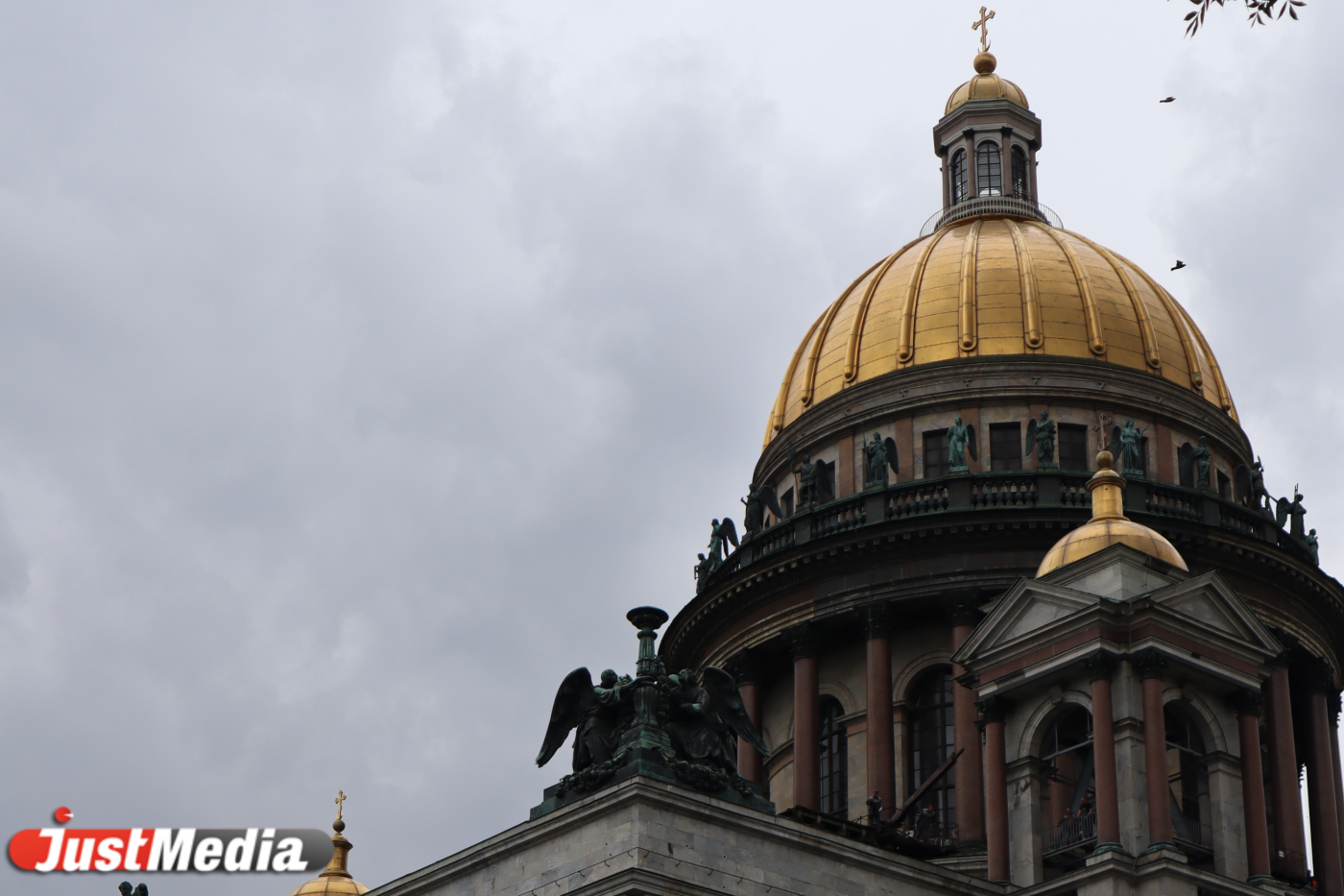 Лошадь снесла столик с гостями в кафе у Исаакиевского собора - Фото 1