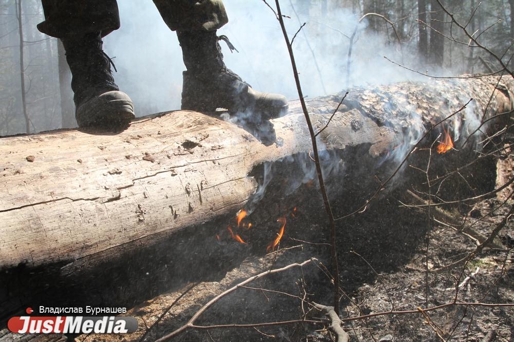 Количество лесных пожаров в Свердловской области за сутки сократилась вдвое - Фото 1